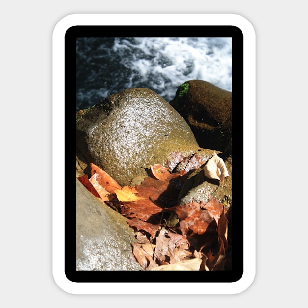 Leaves and stones Sticker by ScrambledPsychology